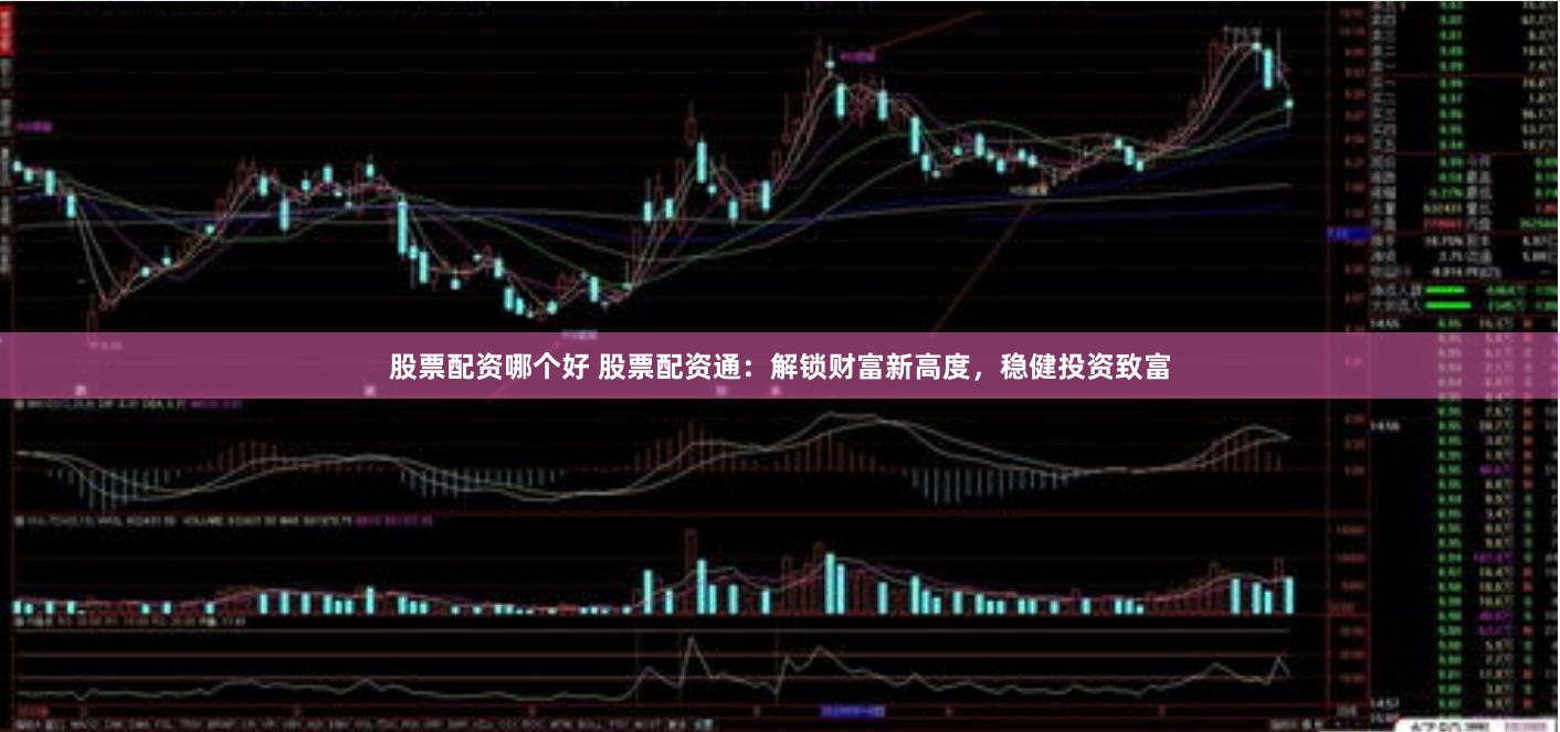 股票配资哪个好 股票配资通：解锁财富新高度，稳健投资致富