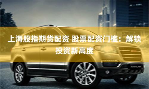 上海股指期货配资 股票配资门槛：解锁投资新高度